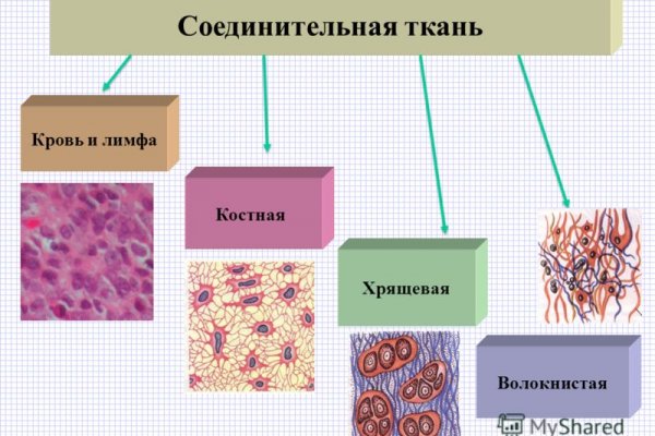 Кракен онион сайт io