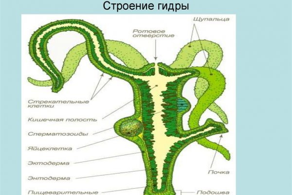 Кракен 2krnk